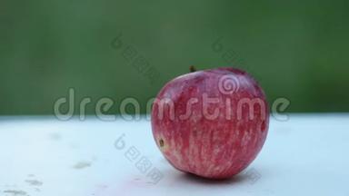 一个农民`户外绿色花园的背景下，在一张白色的乡村<strong>桌子上拿起</strong>一个成熟的红苹果，躺在<strong>上</strong>面